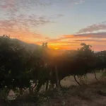 Quintinha De Pinouco *