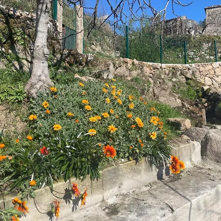 Quintinha De Pinouco * Resende