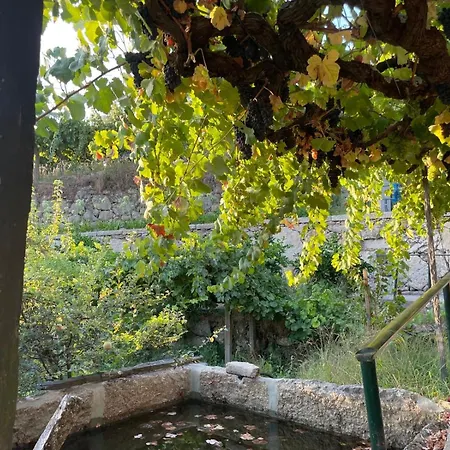 Quintinha De Pinouco Casa de Férias