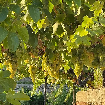 度假居 Quintinha De Pinouco *