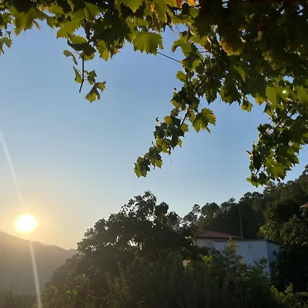 別荘 Quintinha De Pinouco レゼンデ