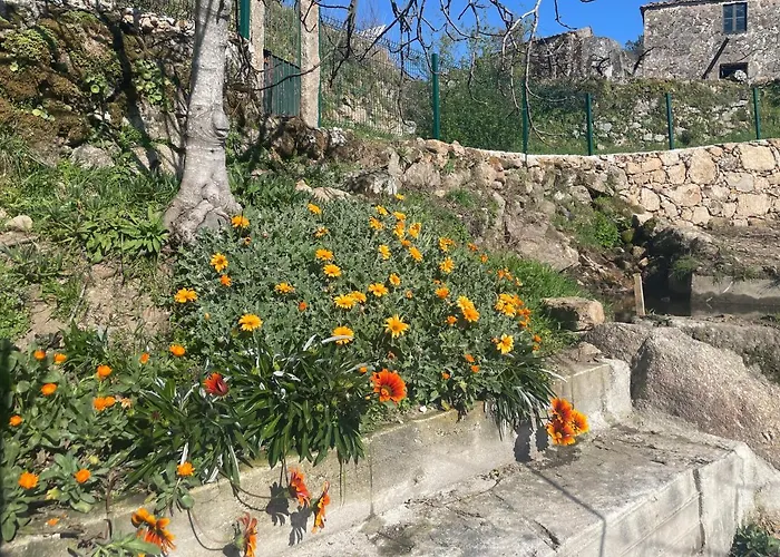 Quintinha De Pinouco * Resende