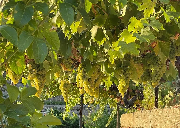 Σπίτι διακοπών Quintinha De Pinouco *