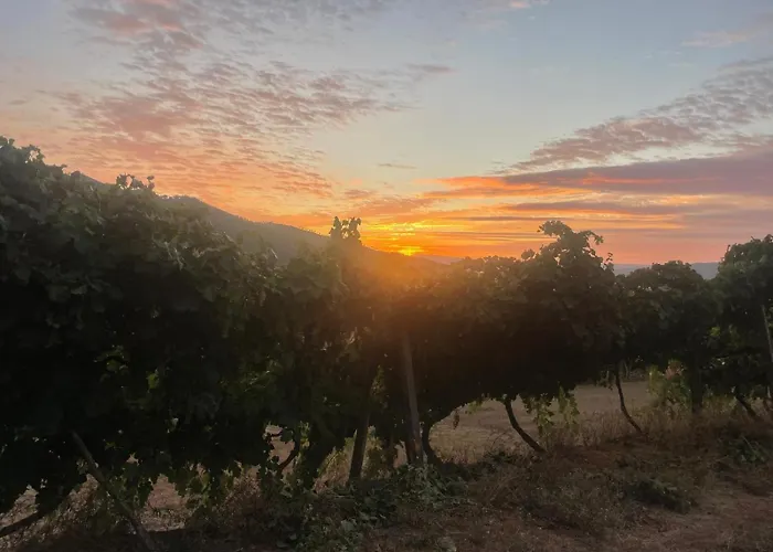 Quintinha De Pinouco *