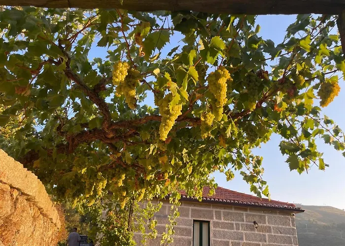 Quintinha De Pinouco Resende