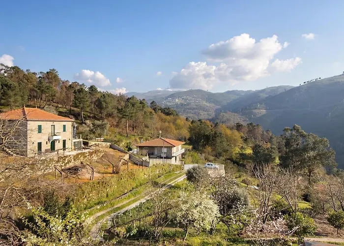 Quintinha De Pinouco *